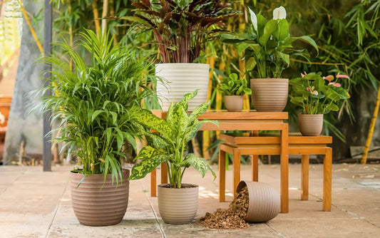 Verona Eco Planter